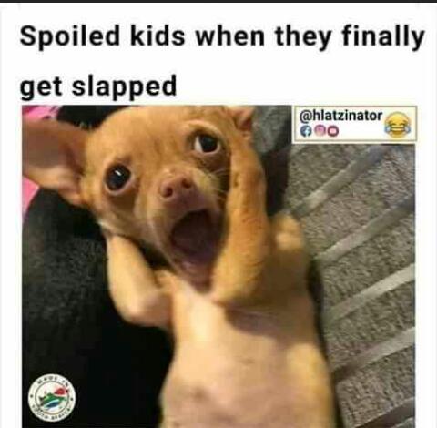 When spoiled kids get slapped this is how they react - meme