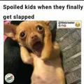When spoiled kids get slapped this is how they react
