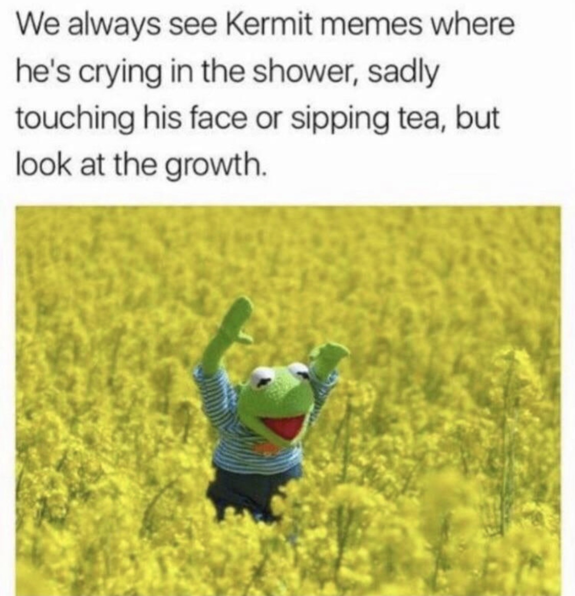 Be like Kermit - meme