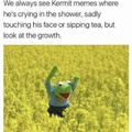 Be like Kermit