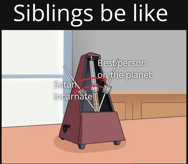 Siblings polarity - meme