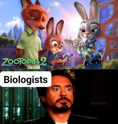 Zootopia 2 - meme