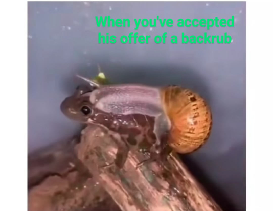 Backrub - meme