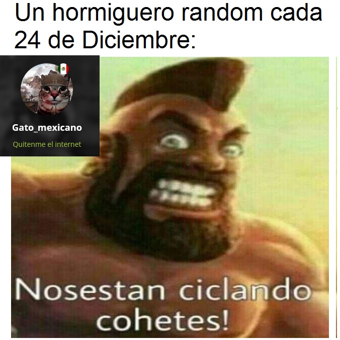 Yo de chiquito tenia la tradición que cada 24 de Diciembre o en Año nuevo les tiraba cohetes pirotecnicos a los hormigueros a modo de venganza porque una vez me picaron XD - meme