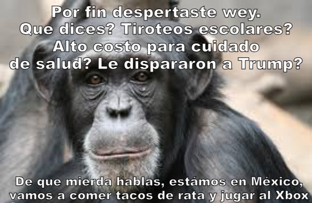 Monke - meme
