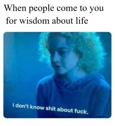 Wisdom about life - meme