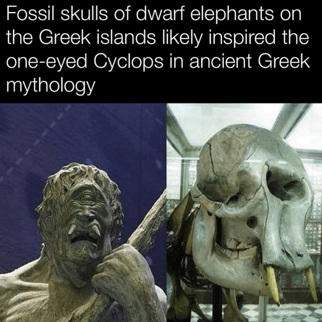 Dwarf elephant skulls = Cyclops origin story - meme