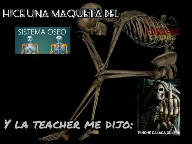 Linfocitos cd4 - meme
