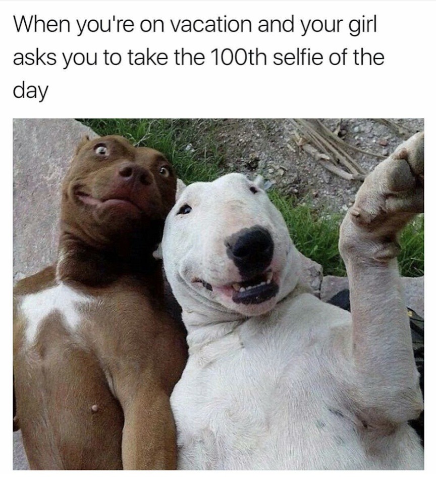 100th selfie side quest - meme