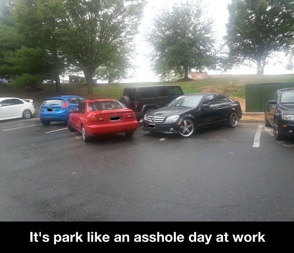 asshole parking - meme