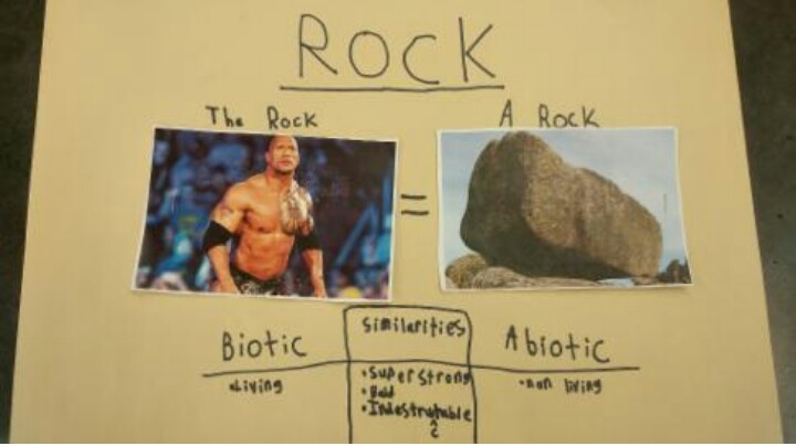 The rock - meme