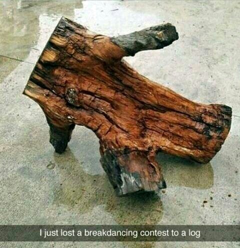 lol that log dances better than me - meme
