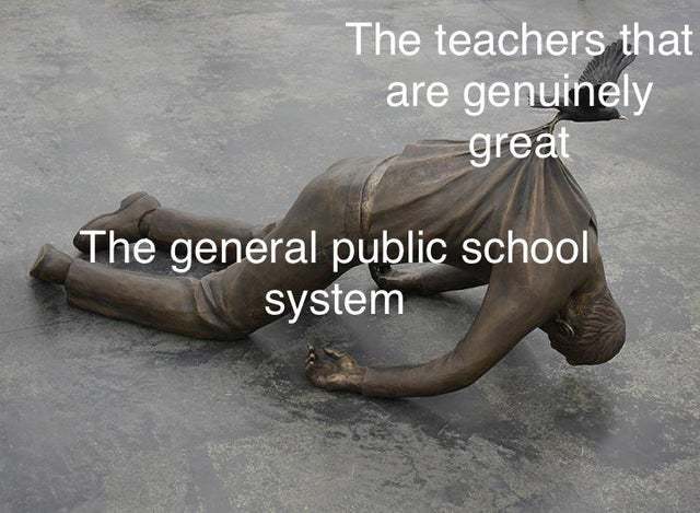There are indeed good teachers but not too many - meme