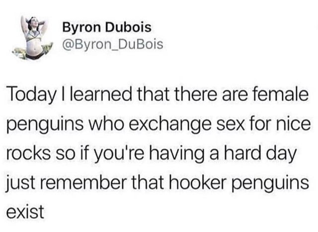 hooker penguins - meme