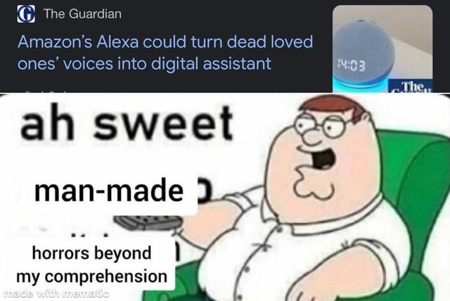 alexa could turn dead loved one's voices into digital assistant - meme