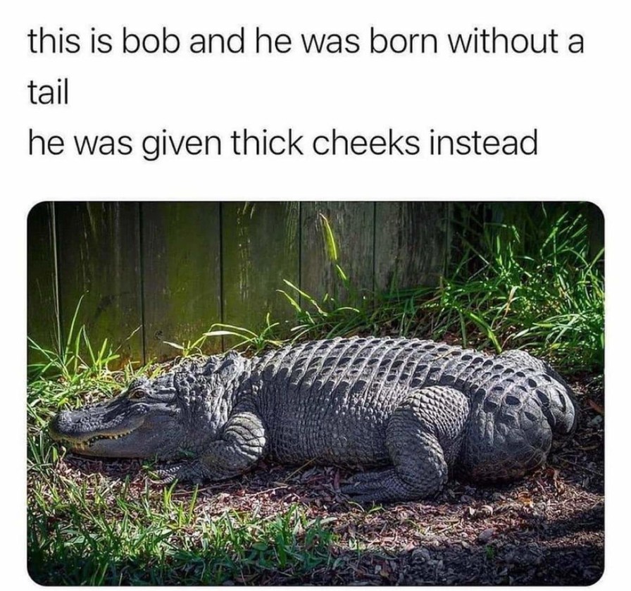 Check this out - meme