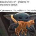 Cat owners