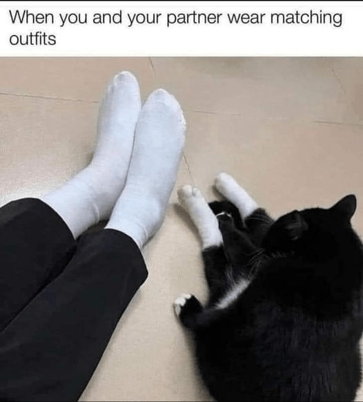 Socks. Nice! - meme