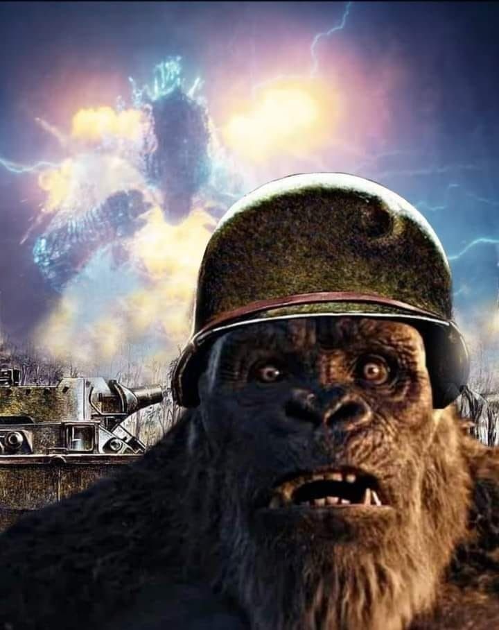 King kong - meme