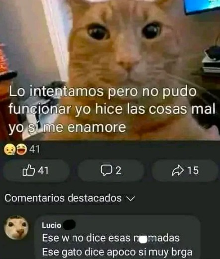 xDD - meme