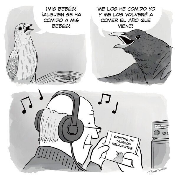 Pájaros en fin ._. - meme