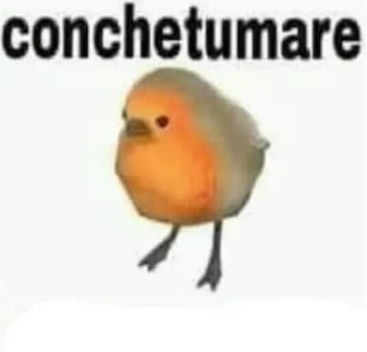 Conchetumare - meme