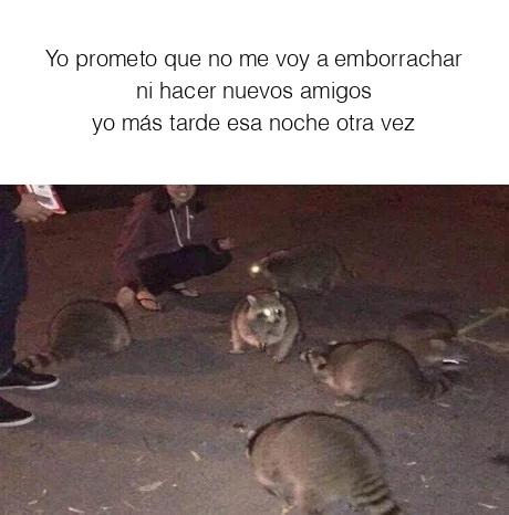 Noche de tranquis promedio - meme