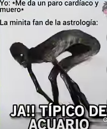 Tipico - meme