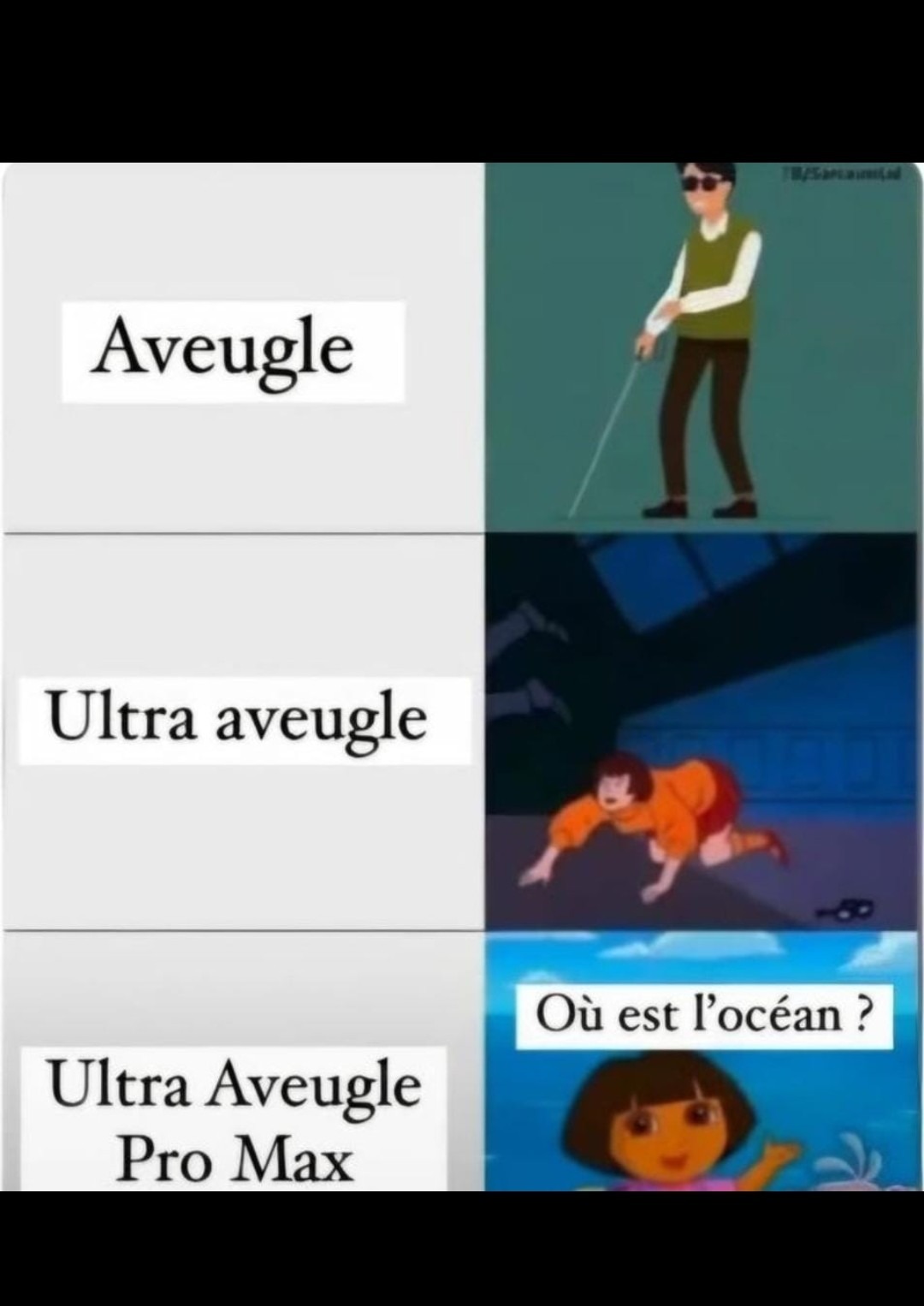 Aveugle - meme
