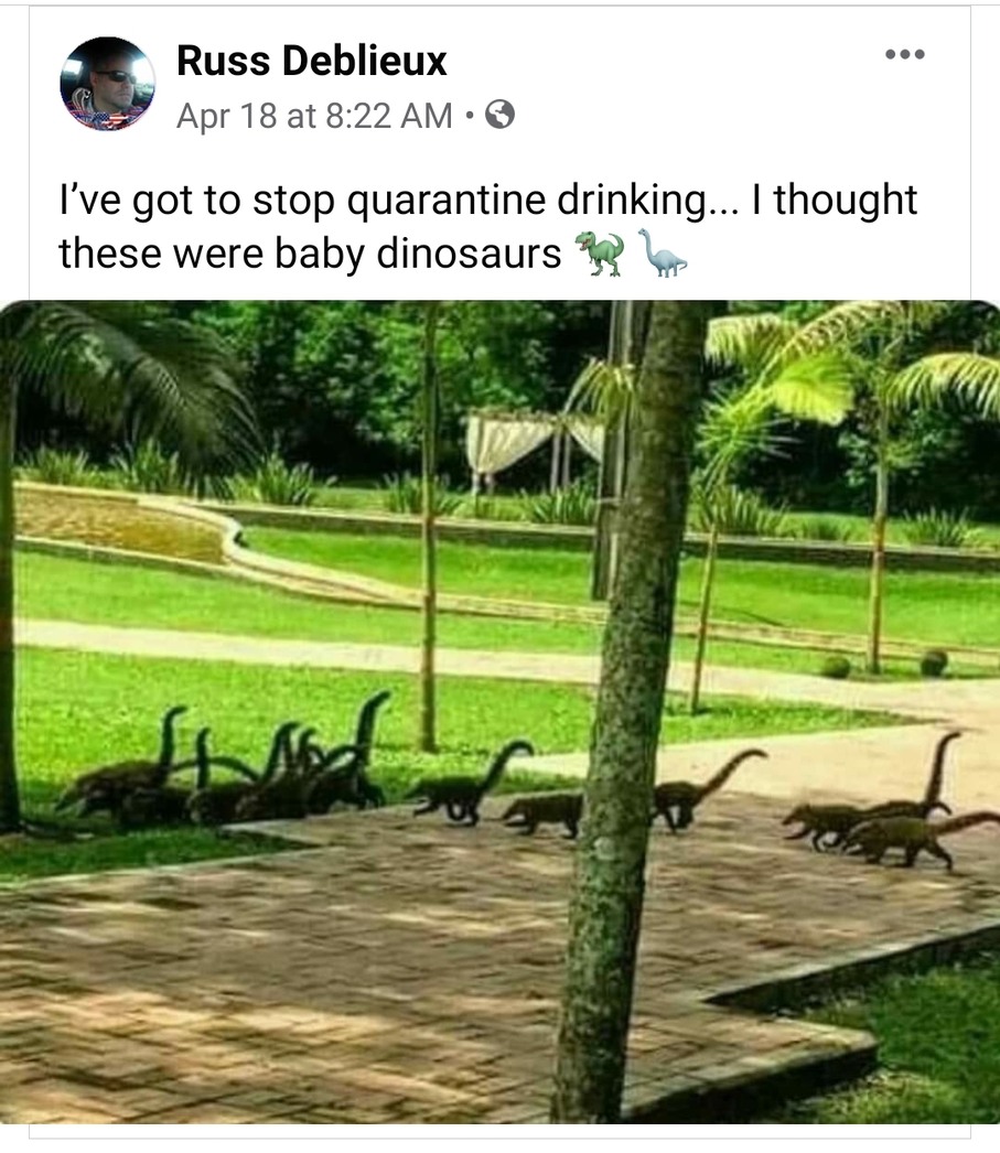 Baby dinosaurs  - meme