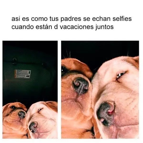 Vacaciones de tus padres - meme