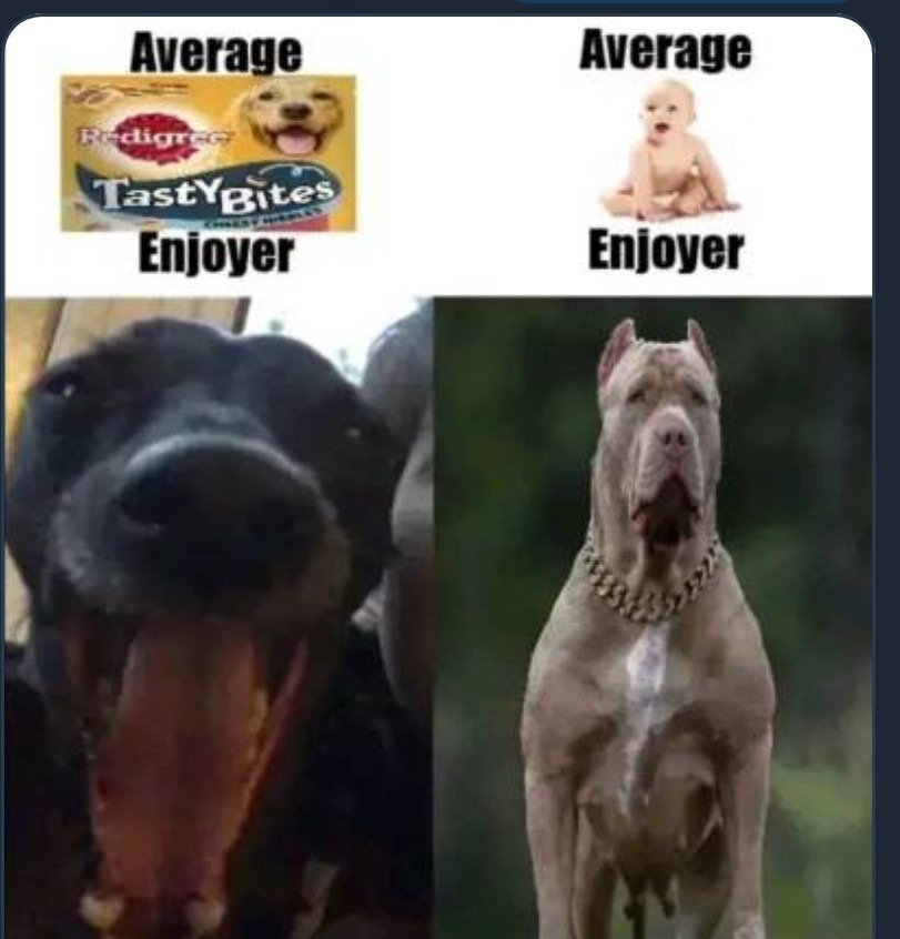 Pitbulls are just better,toddlers better watch out - meme
