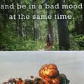 It is impossible to walk in the woods and be in a bad mood at the same time