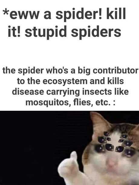 Spiders are Bros - meme