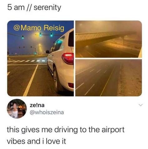 Road To Airport Vibes - meme