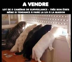 Trouve le titre - meme