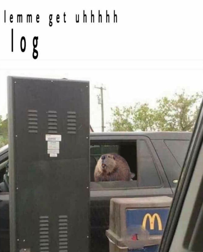 First moth and lamp...now beaver and log - meme