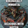 this crab is INMBENCIBLE