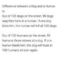 Difference between a Dog and a Human!