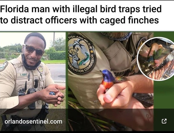 here officer look at this bird - meme