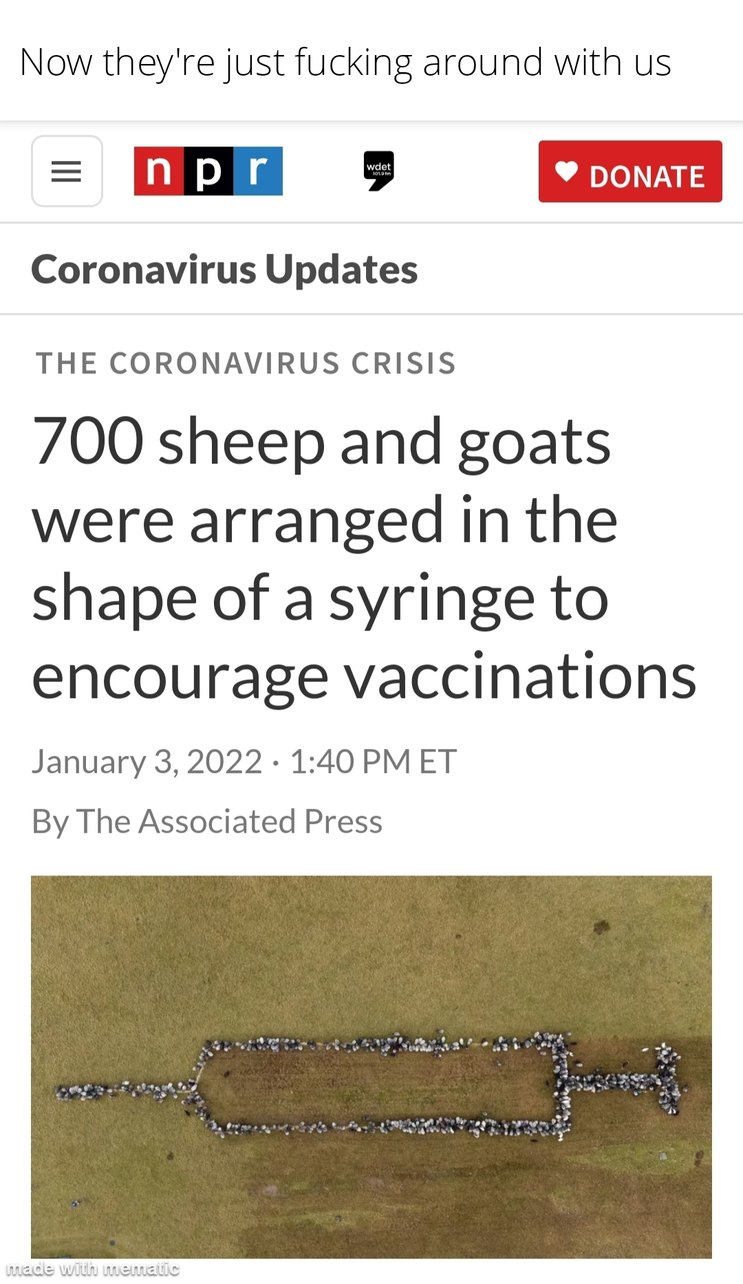 NPR: The vaccinated equal sheep - meme