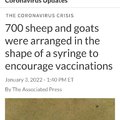 NPR: The vaccinated equal sheep