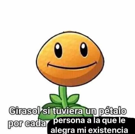girasol con cancer - meme