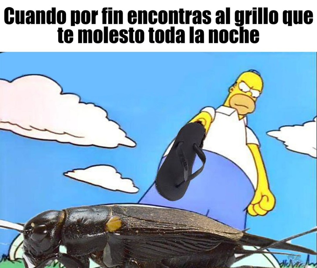 Cuando por fin encuentras al grillo que te molestó toda la noche - meme