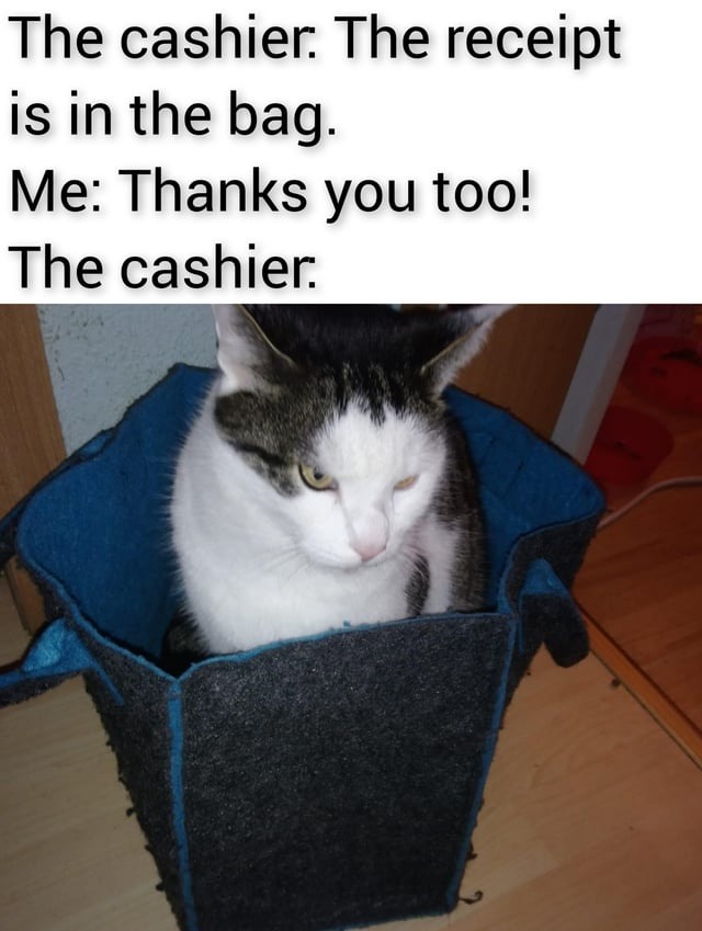 Thanks you tool, classic checkout brain lag - meme