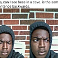 comment "Eva can I see bees in a cave" on next meme