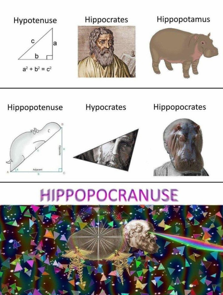Hippopocranuse - meme