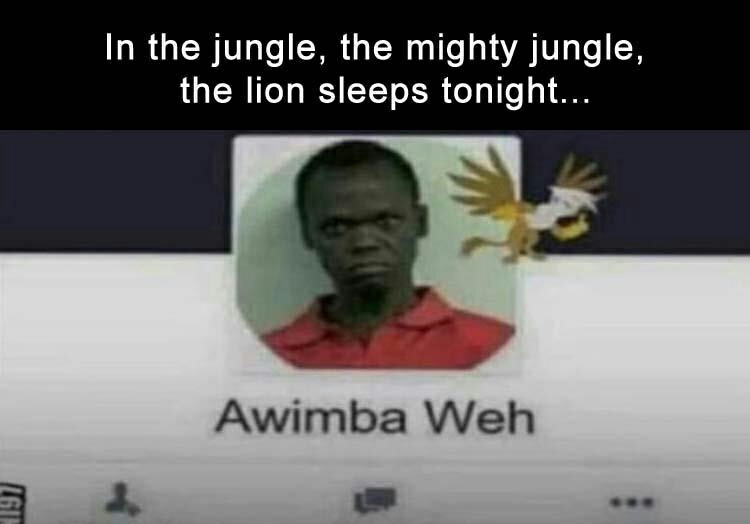 In the jungle the mighty jungle the lion sleeps tonight - meme