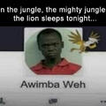 In the jungle the mighty jungle the lion sleeps tonight
