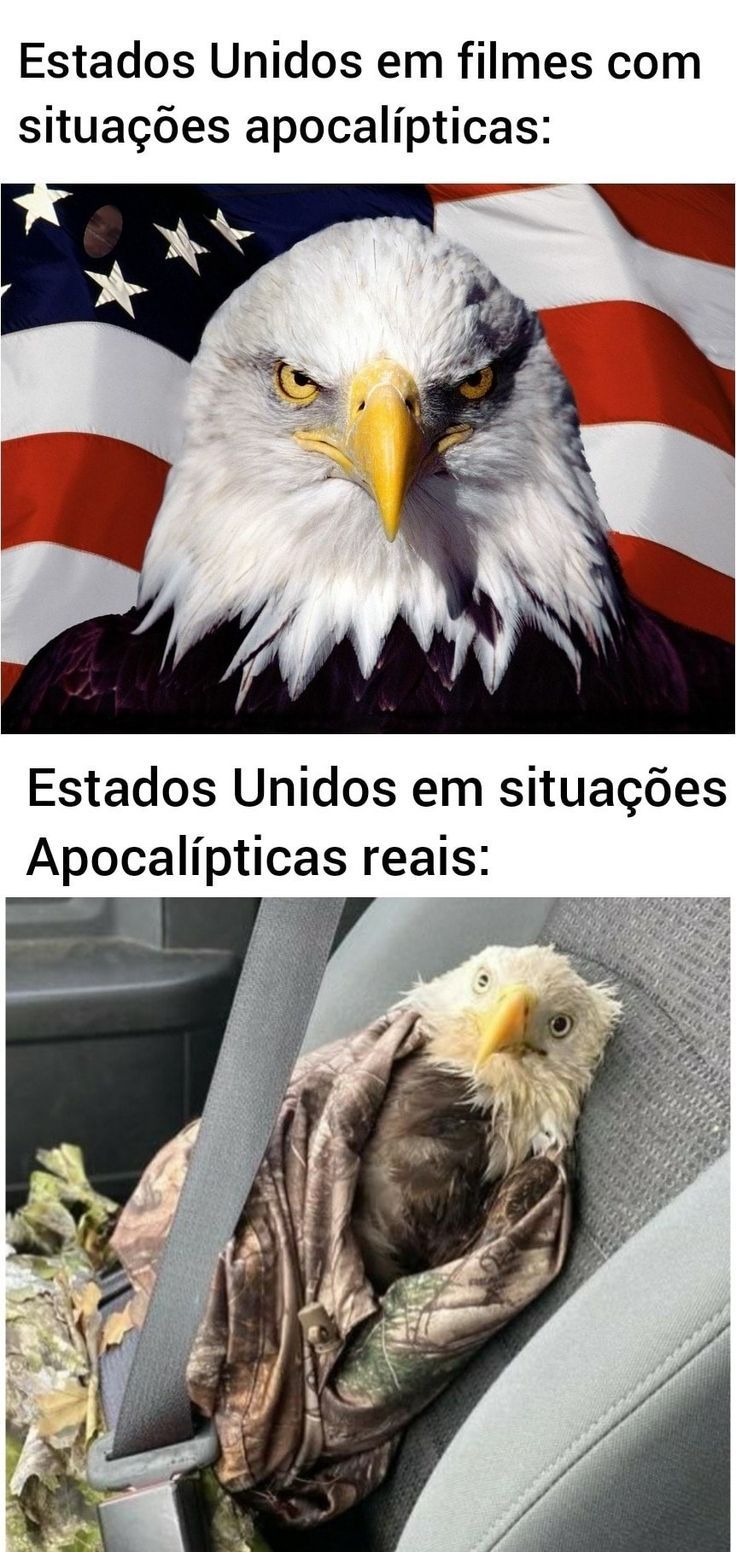 Dei 9 risadas - meme